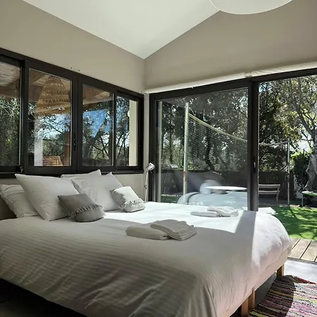 Superb Contemporary Near Montpellier 卡斯泰尔诺勒莱